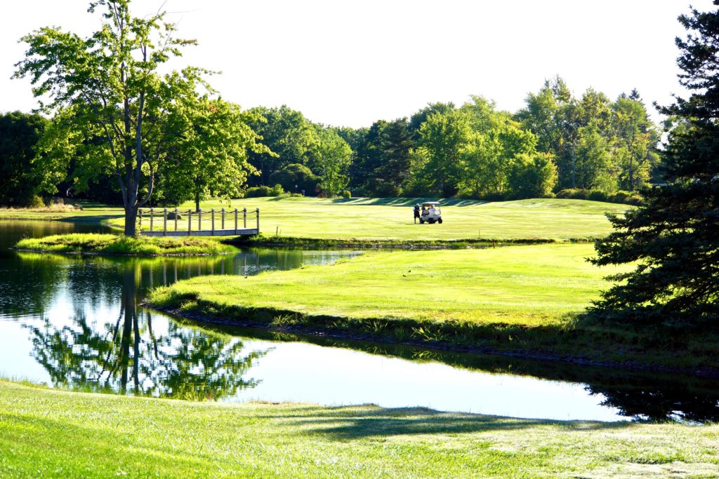 golf course - shorewood country club